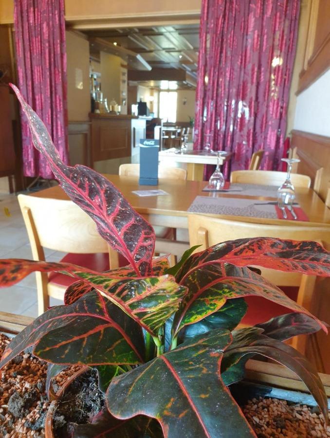 Hotel Lion D'Or Romont 외부 사진